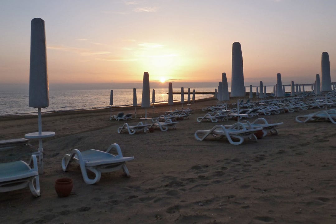 Am 17. März 2013 18 uhr PALOMA Perissia