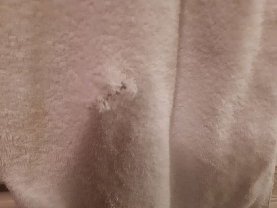 Zimmer Hotel Goldner Loewe