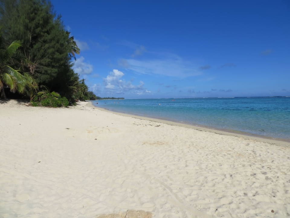 Scheinbar Endlos  Palm Grove Resort