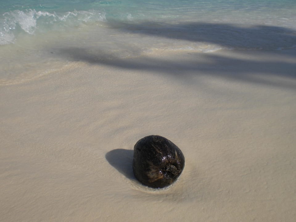 Strandgut ROBINSON MALDIVES