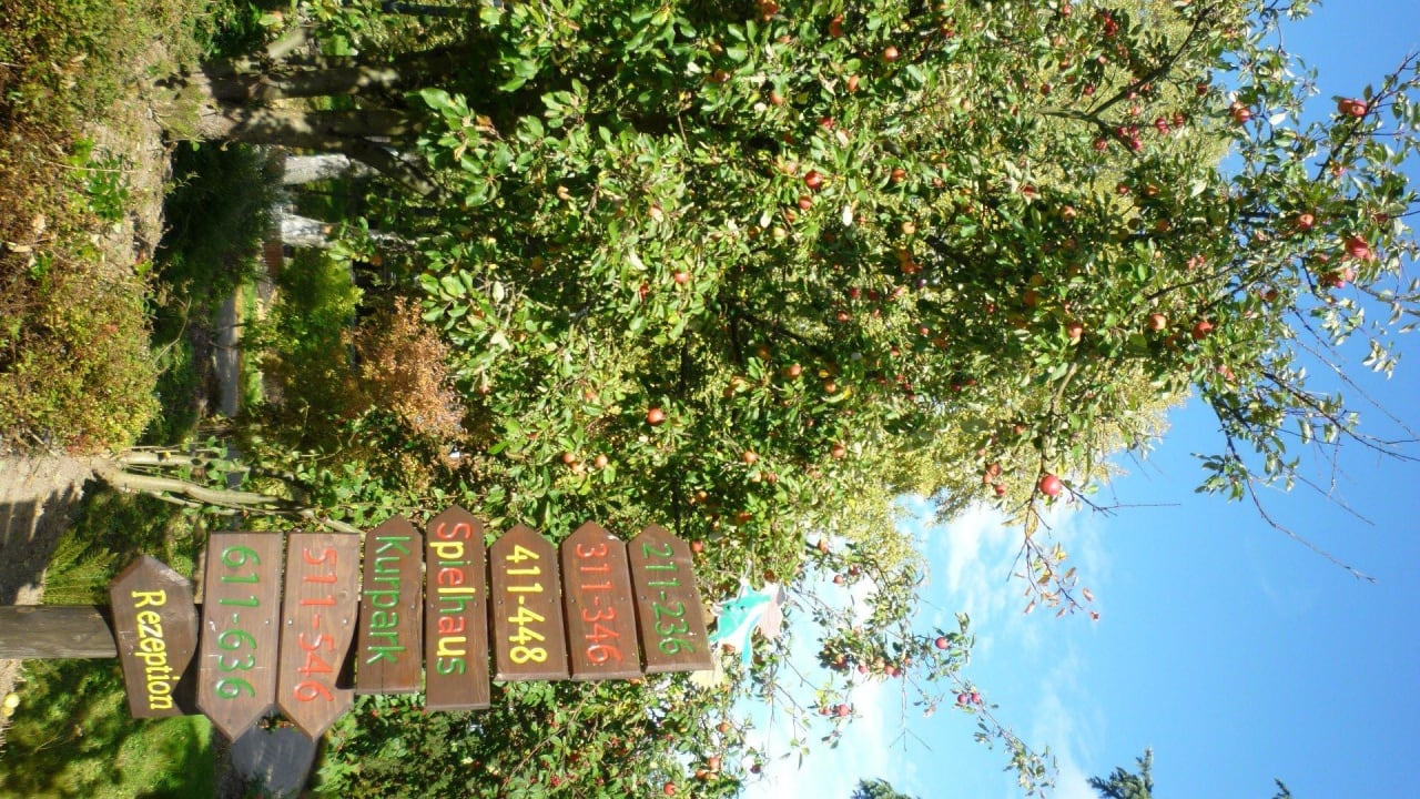 Apfelbaum Hapimag Resort Braunlage