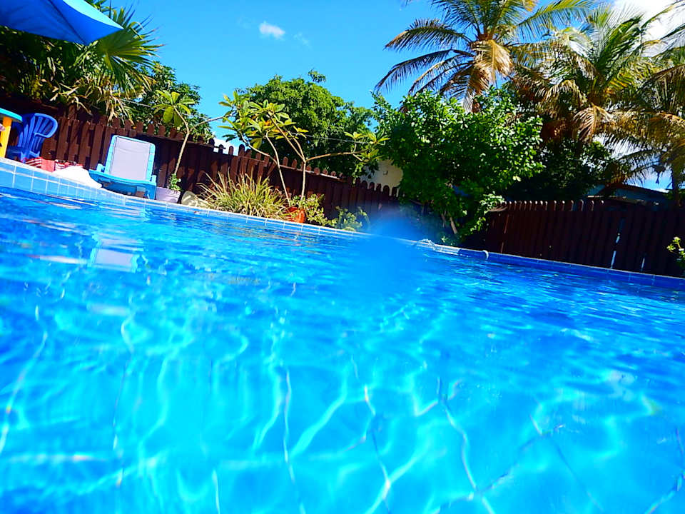 Pool Hotel Cecil Paradise