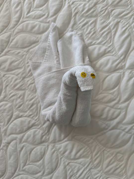 Zimmer Son Moll Sentits Hotel & Spa