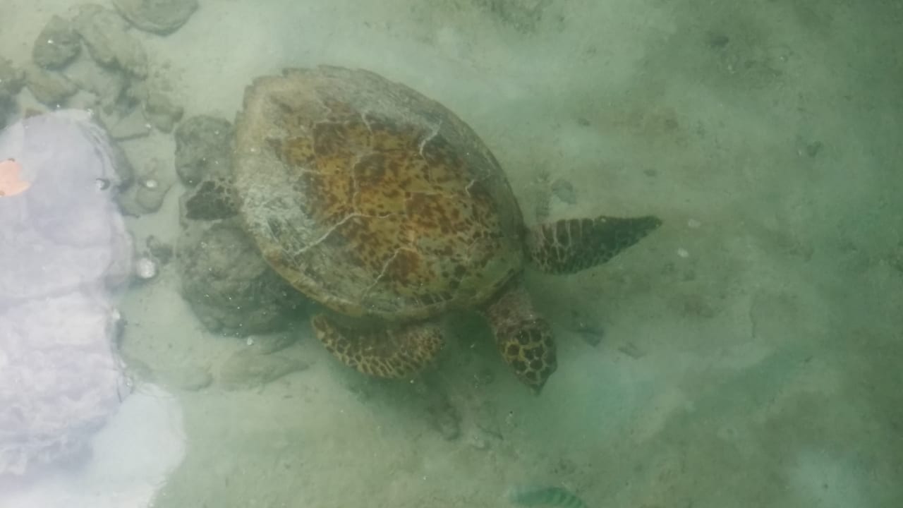 Strand Rihiveli Maldives Resort