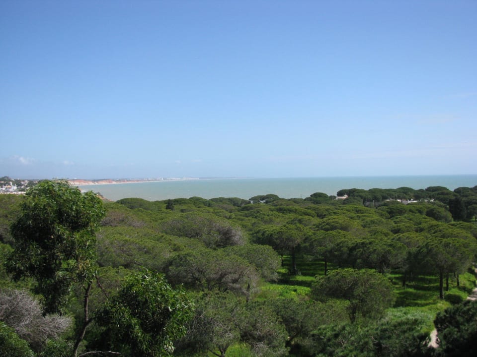 Ausblick vom Balkon  Aqua Pedra Dos Bicos Design Beach Hotel - Adults only
