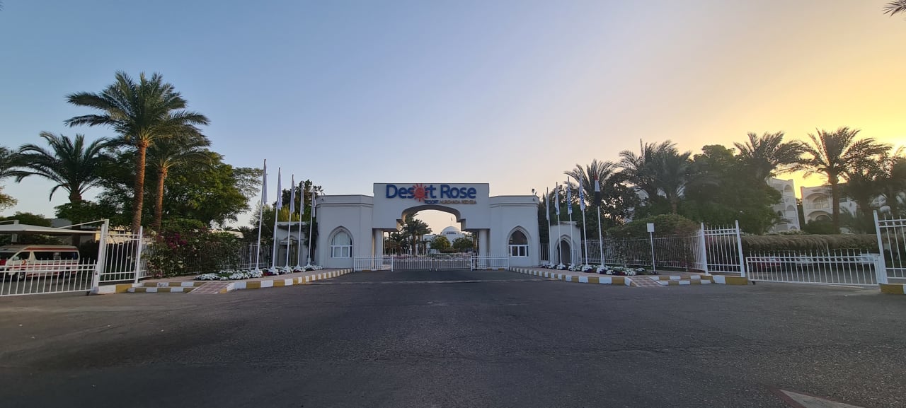 Sonstiges Desert Rose