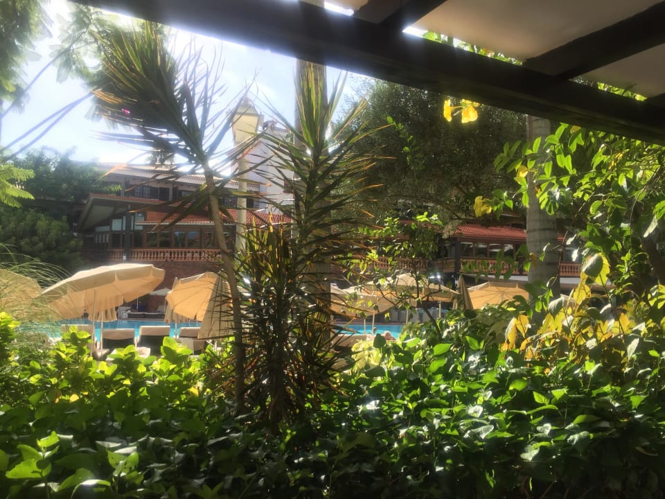 Blick von Terrasse Hotel Parque Tropical