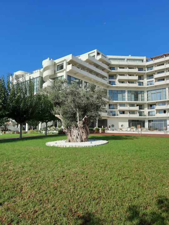 Lobby Elysium Resort & Spa Hotel