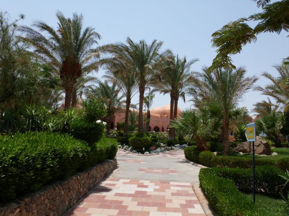 Blick in den Garten Jaz Makadi Oasis Resort