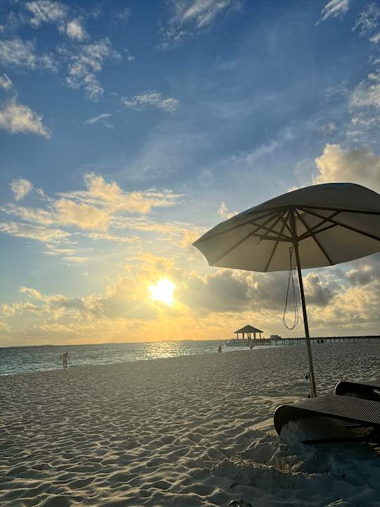Strand Brennia Kottefaru