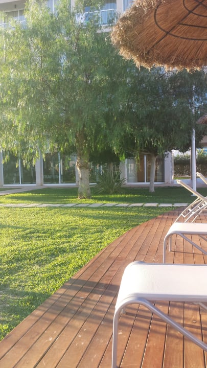 Gartenanlage Hotel Zafiro Alzinar Mar