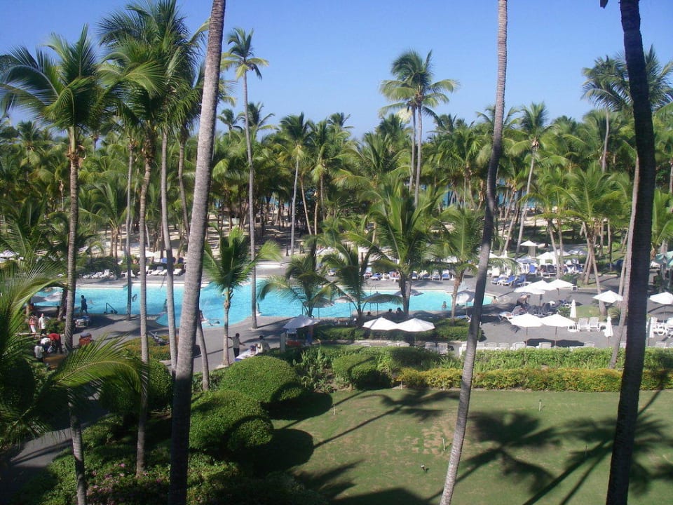 Die Sicht vom Balkon Hotel Riu Palace Macao - Adults only