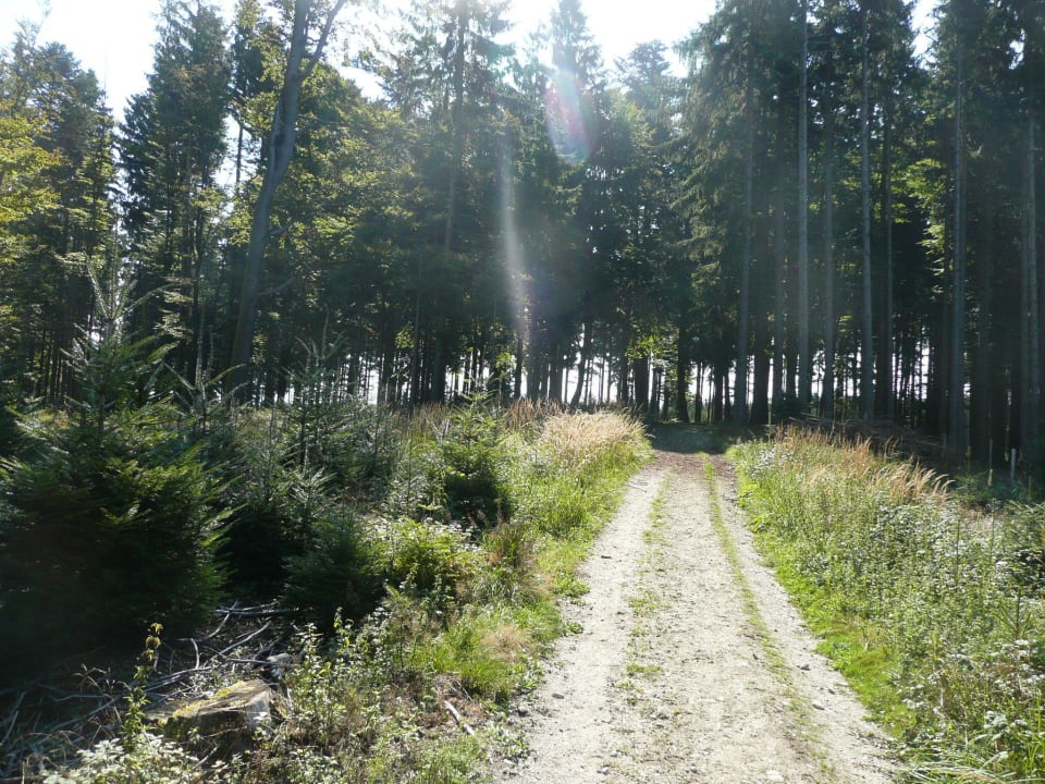 Reitweg Ferienwohnungen Pferdehof Koaser Minerl