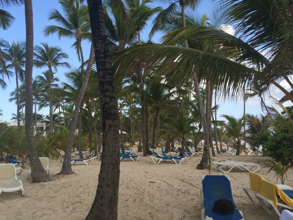 Strand Hotel Riu Palace Macao - Adults only