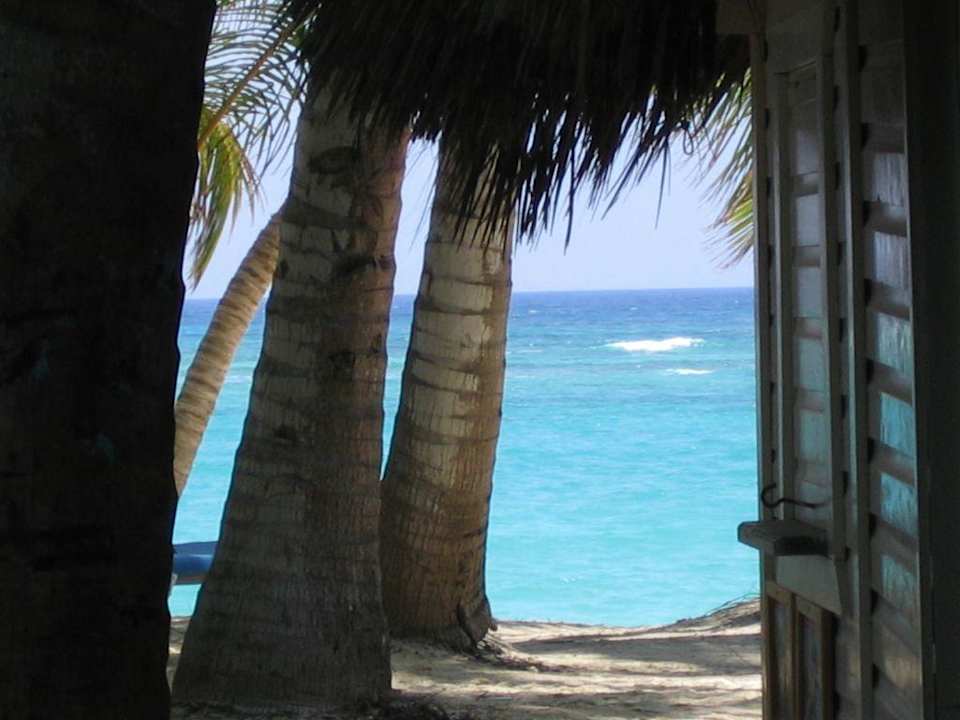 Hotelstrand-/ Strandbereich Hotel Riu Palace Bavaro