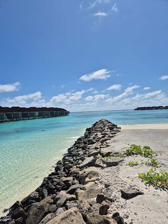 Ausblick TUI BLUE Olhuveli Romance