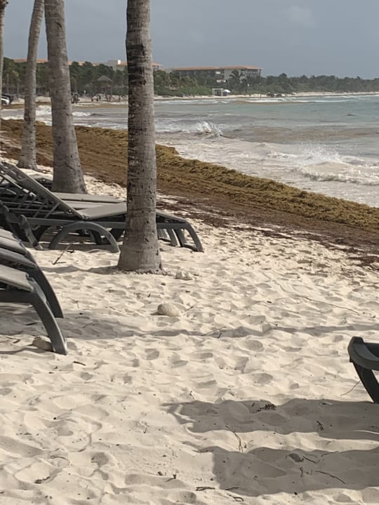 Strand Grand Palladium Select White Sand Resort & Spa