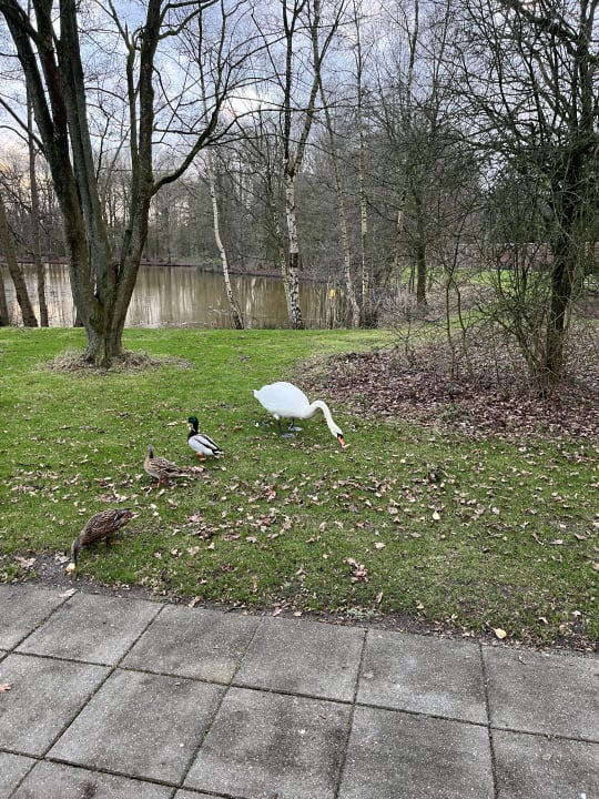 Ausblick Ferienpark Klein Vink