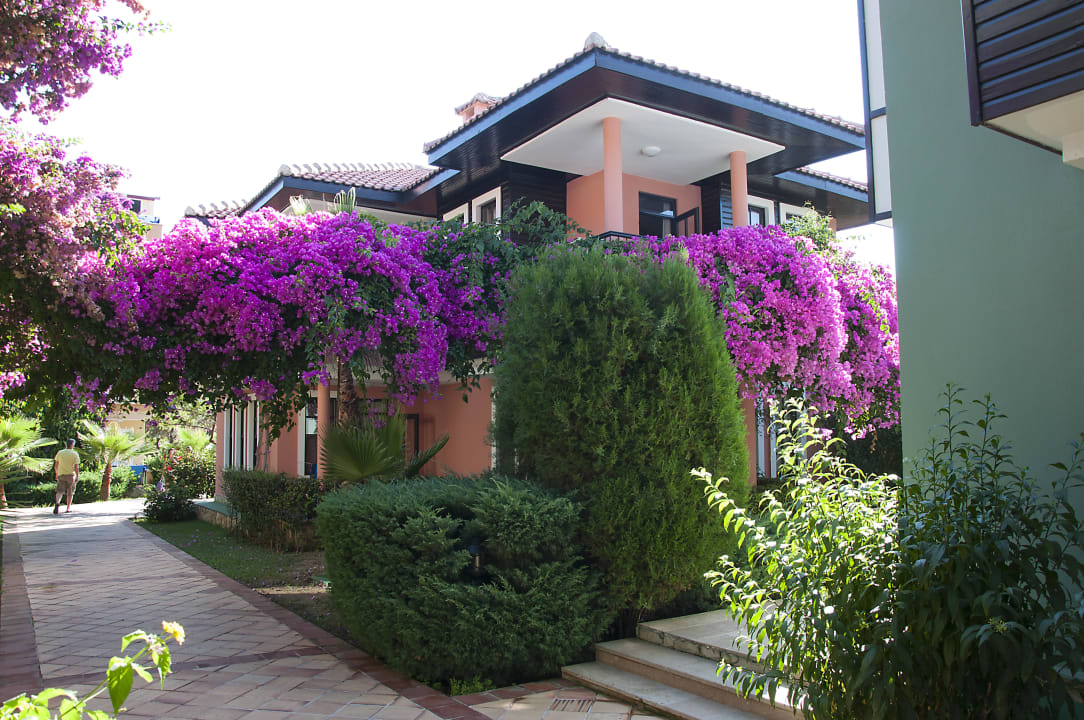Hotel Club Dizalya Club Dizalya