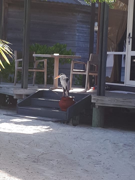 Sonstiges Kuredu Island Resort & Spa