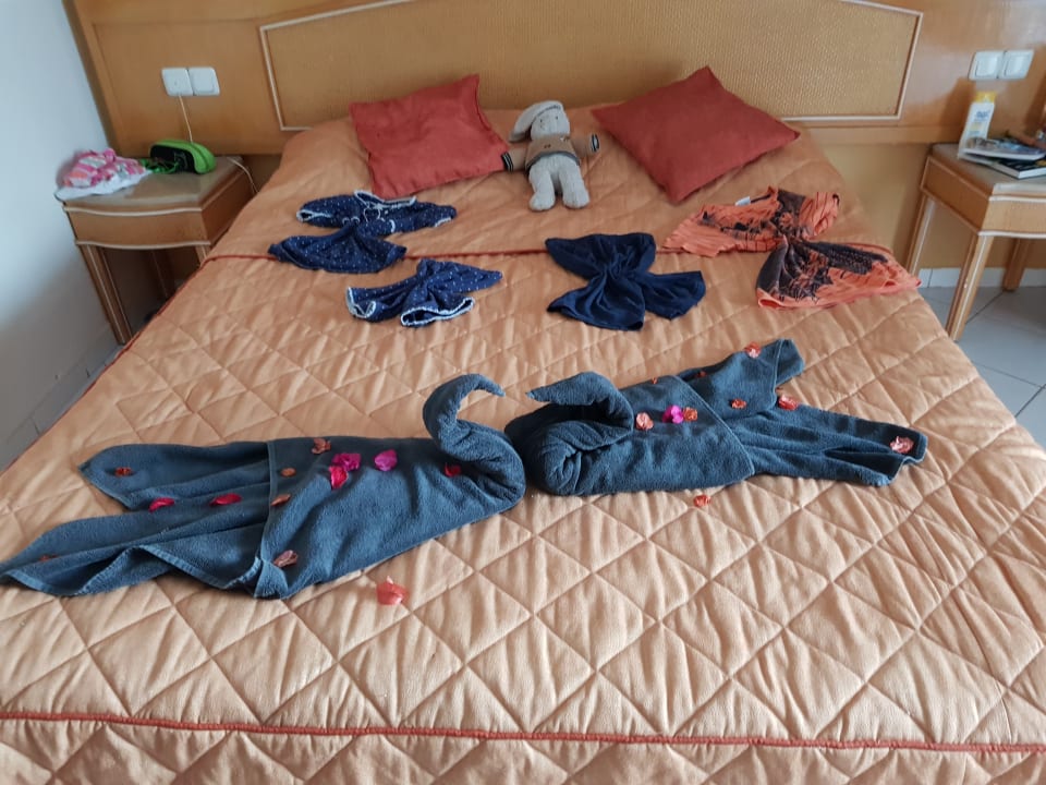 Zimmer Hammamet Garden Resort & Spa