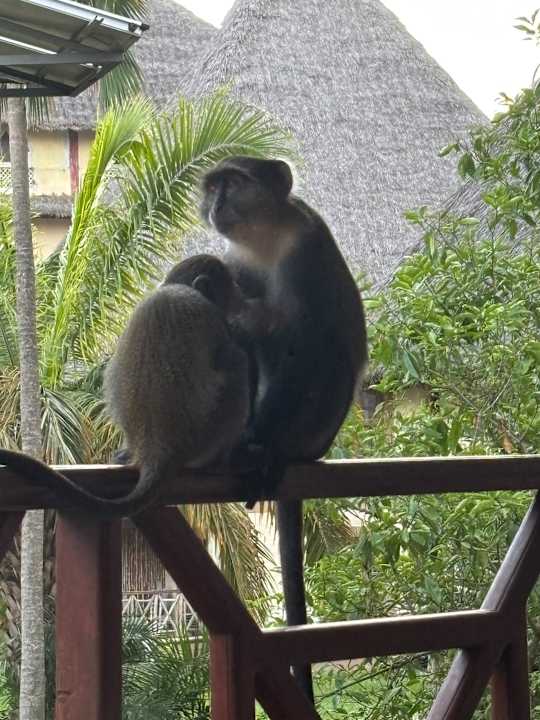 Sonstiges Neptune Village Beach Resort & Spa