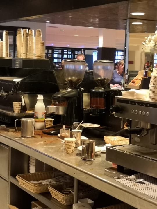 Gastro blau punta reina