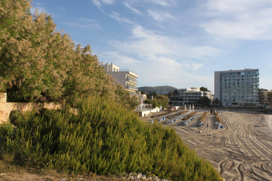 Blick aus Richtung Font de Sa Cala Hotel Na Forana