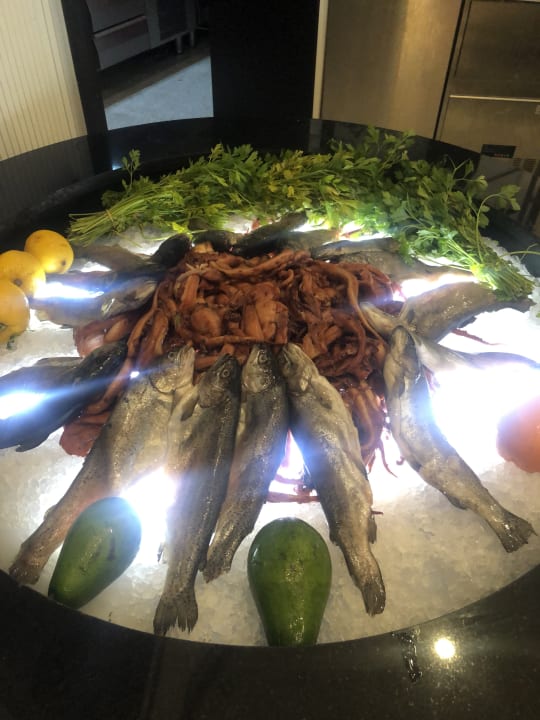 Gastro Paloma Finesse