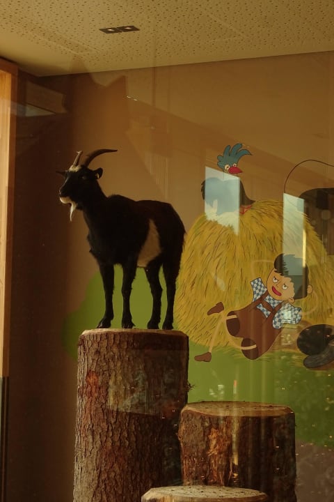 Kinderhotel Dachsteinkönig Dachsteinkönig - Familux Resort