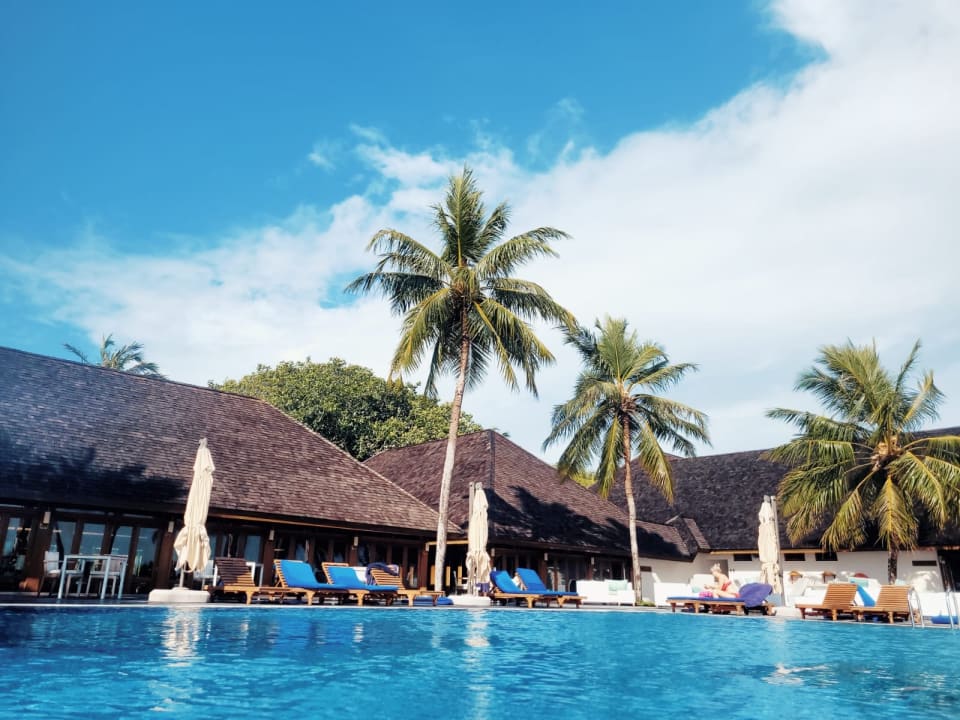Pool Vilamendhoo Island Resort & Spa