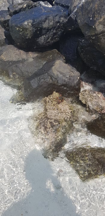 Sonstiges Summer Island Maldives