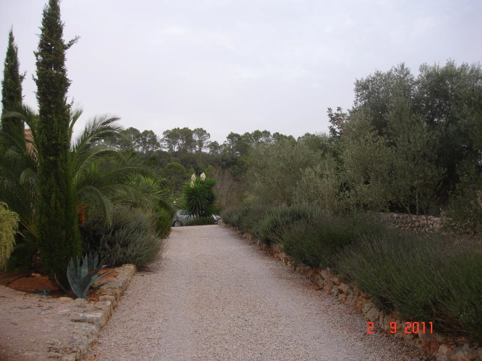 Weg zum Haupthaus Finca Can Pina