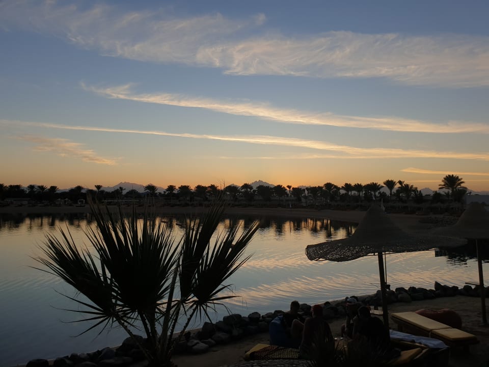 Ausblick Desert Rose