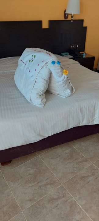 Zimmer Coral Sun Beach
