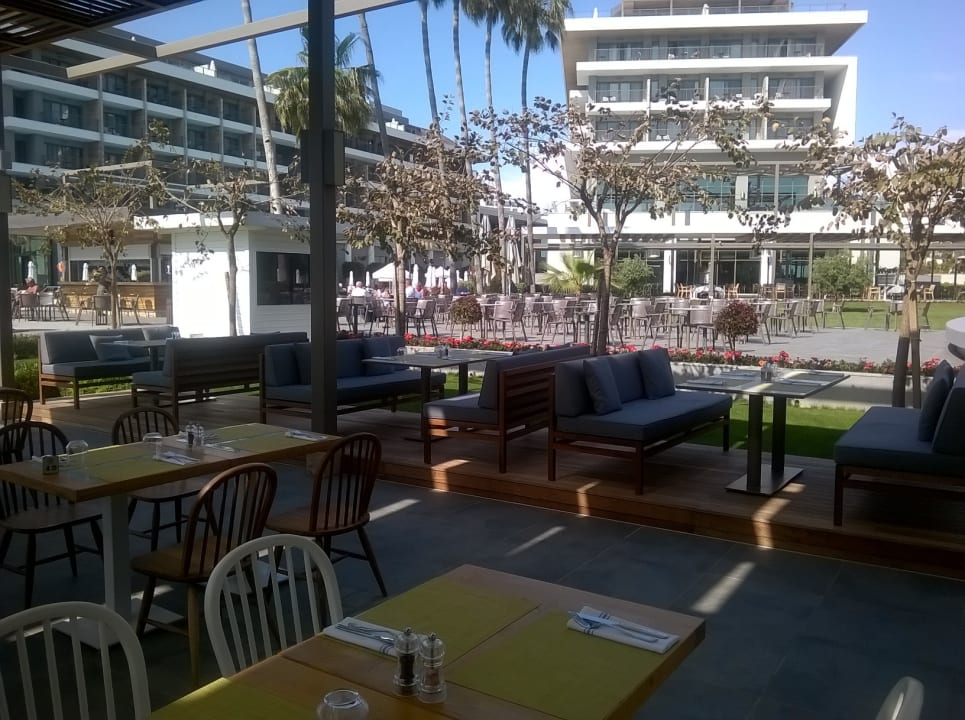 Gastro Acanthus Cennet Barut Collection