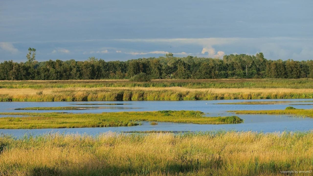 Noch mehr... Hotel Zwei Linden