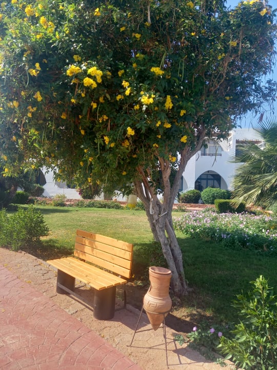 Gartenanlage Three Corners Equinox Beach Resort