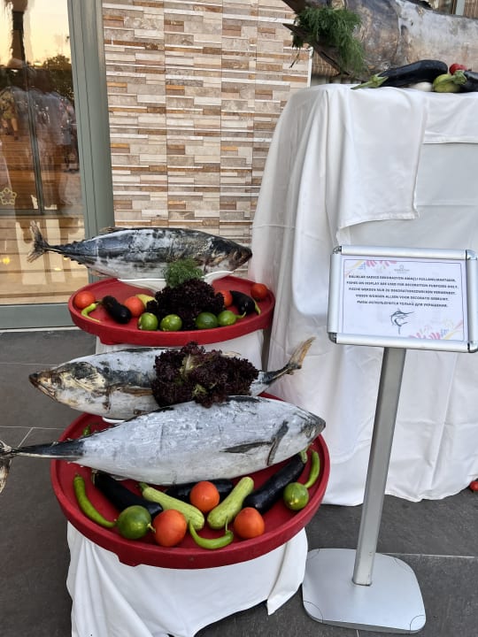 Gastro Side Star Beach