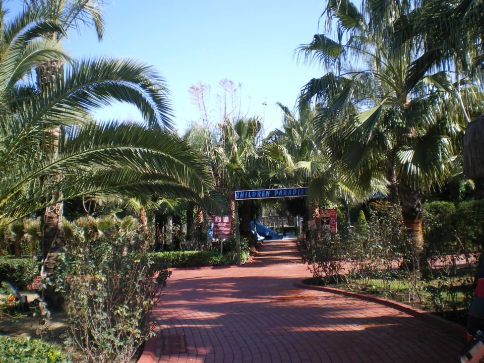Hier gehts zur Kinderecke Hotel Delphin Palace