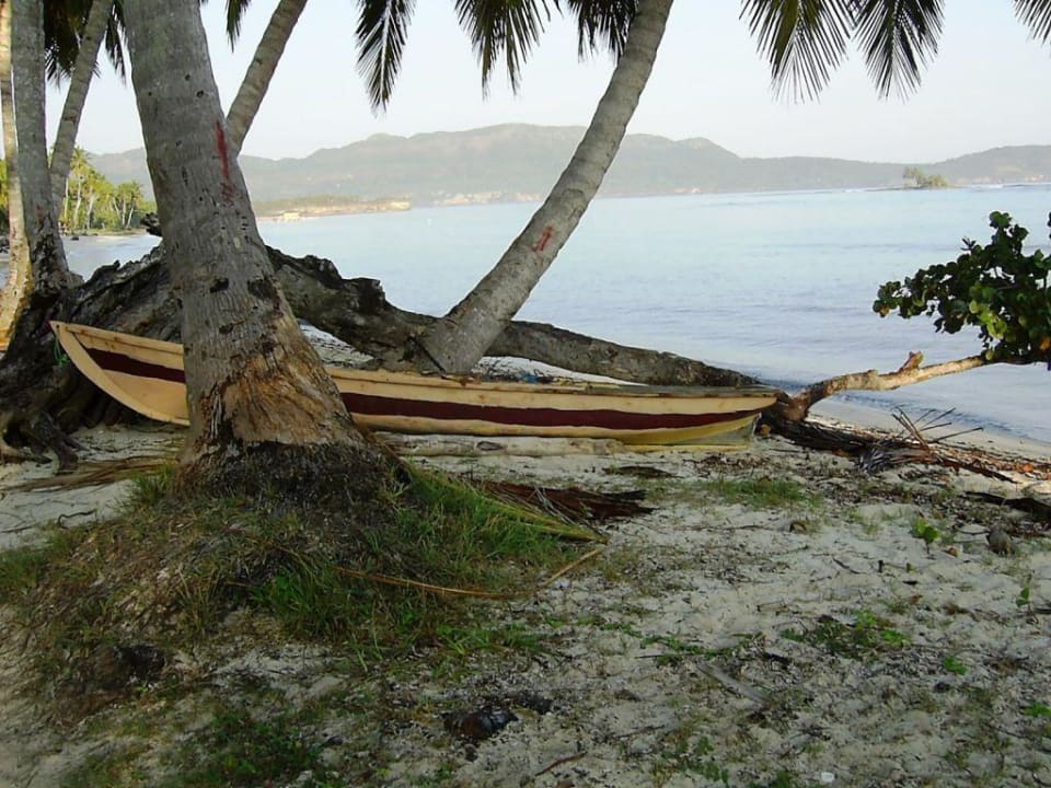 Inselspaziergang5 Wyndham Alltra Samana