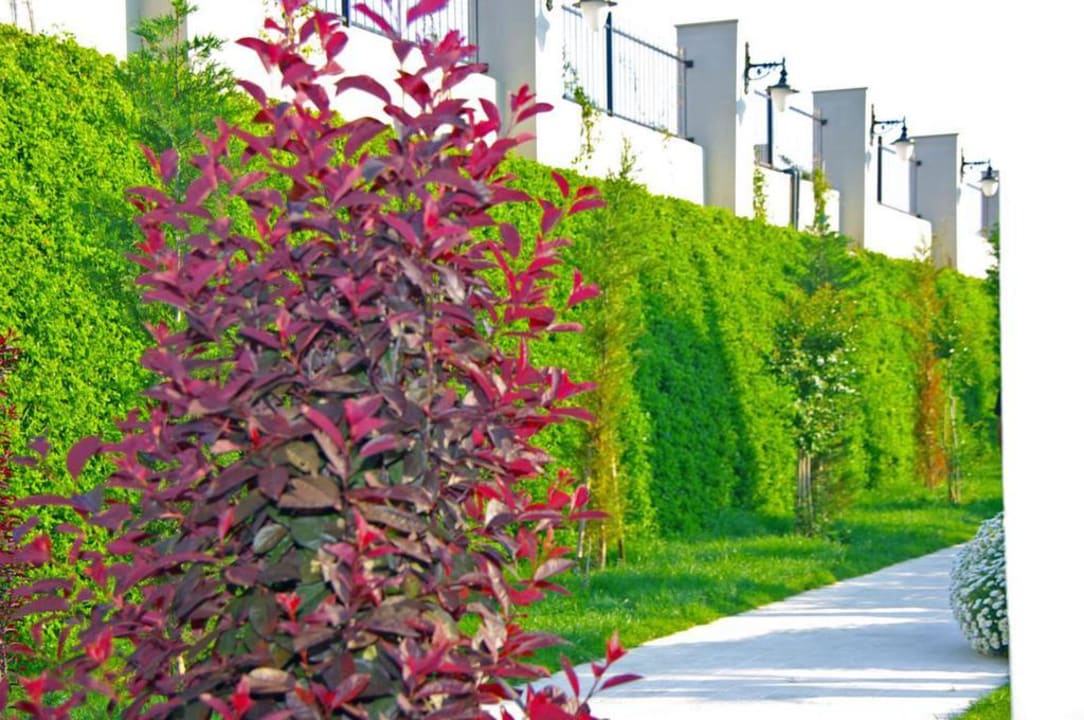 Zu Gast im November Aydinbey Kings Palace & Spa