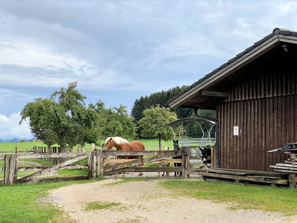 Außenansicht Hanznhof