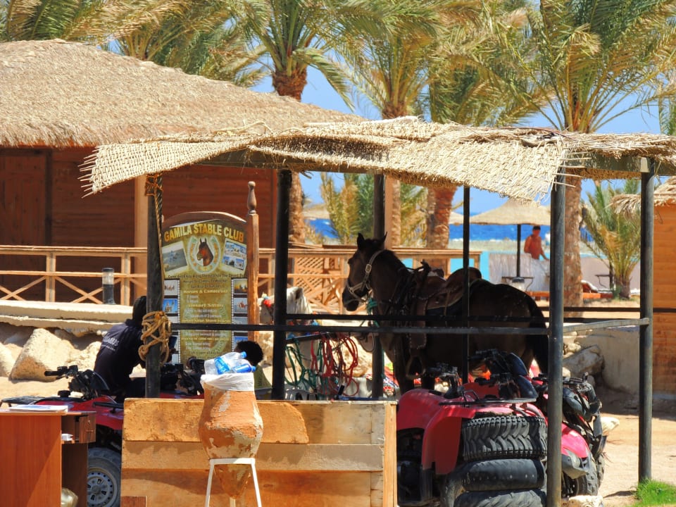 Am Stand Stella Beach Resort & Spa Makadi Bay