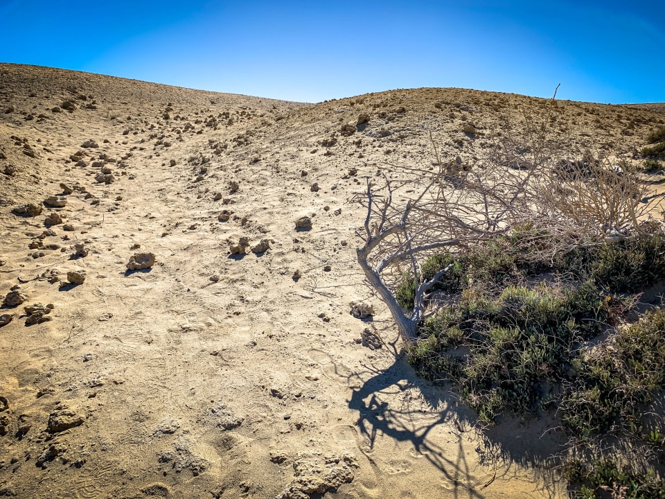Ausblick Malikia Resort Abu Dabbab