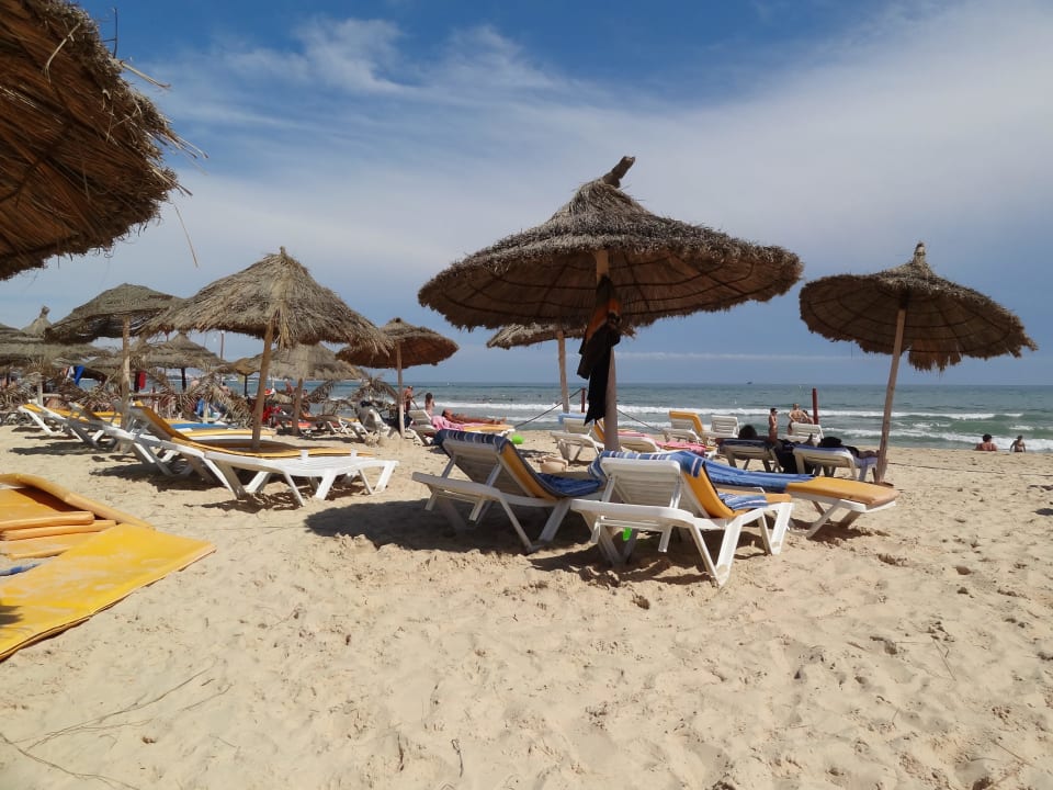 Schön AQI Venus Beach