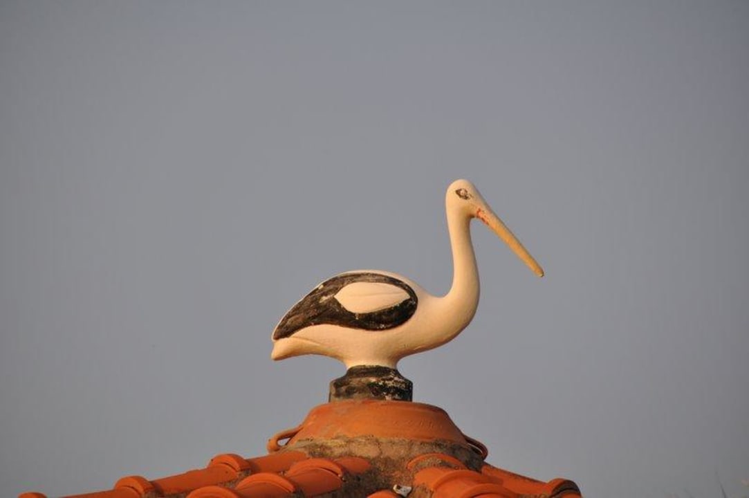 Dachdekoration Vantaris Luxury Beach Resort