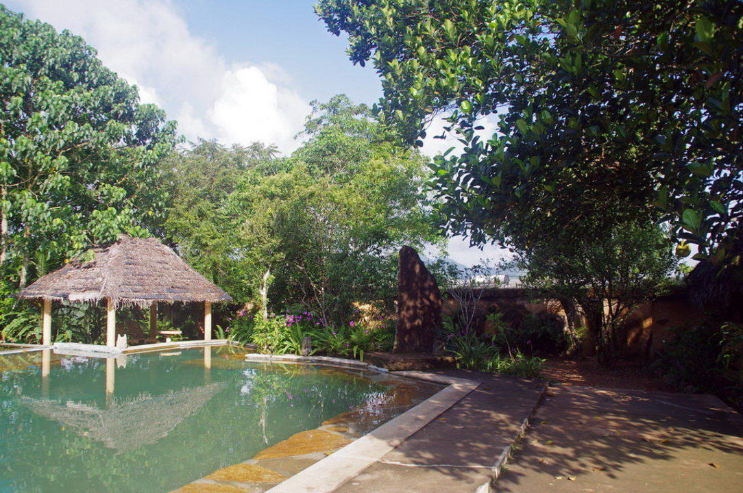 Pool und Häuschen Rainforest Edge Guesthouse