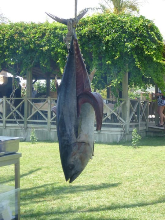 Fisch-Grill Sunis Kumköy Beach Resort Hotel & Spa