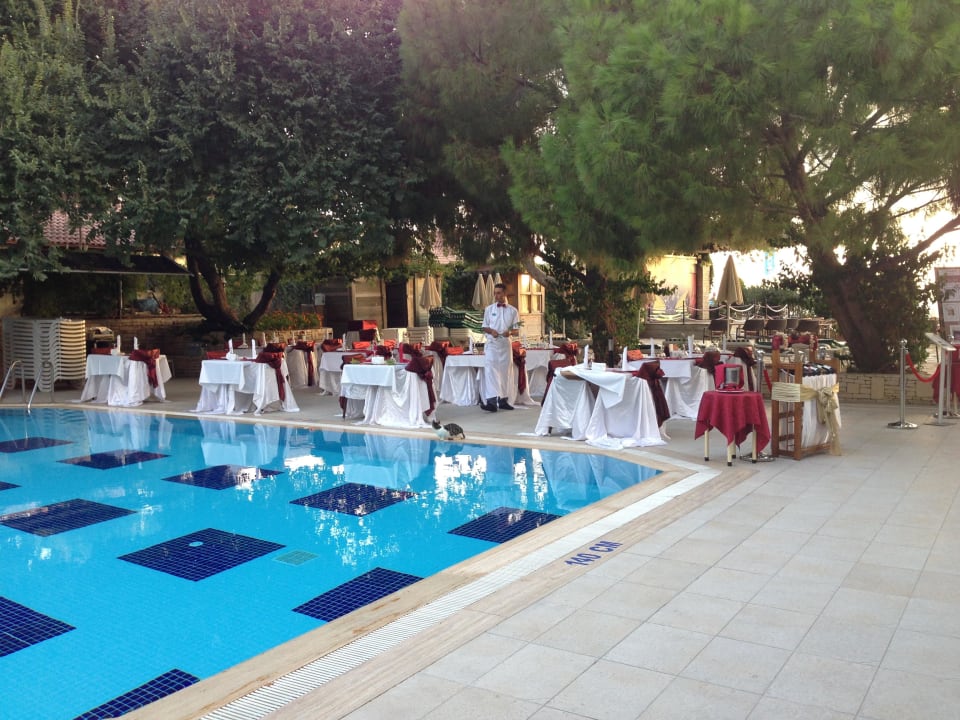 Al a Carte Restaurant  Trendy Side Beach Hotel - Adults only